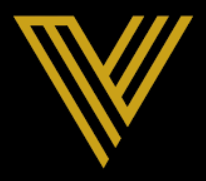 Vanguard International Systems