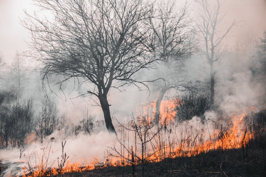 Ground-level wildfire in dry scrubland β the terrain UK crews increasingly face.