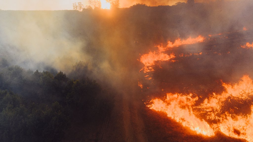 Government Announces Β£97m Wildfire Investment β What It Means for the Service