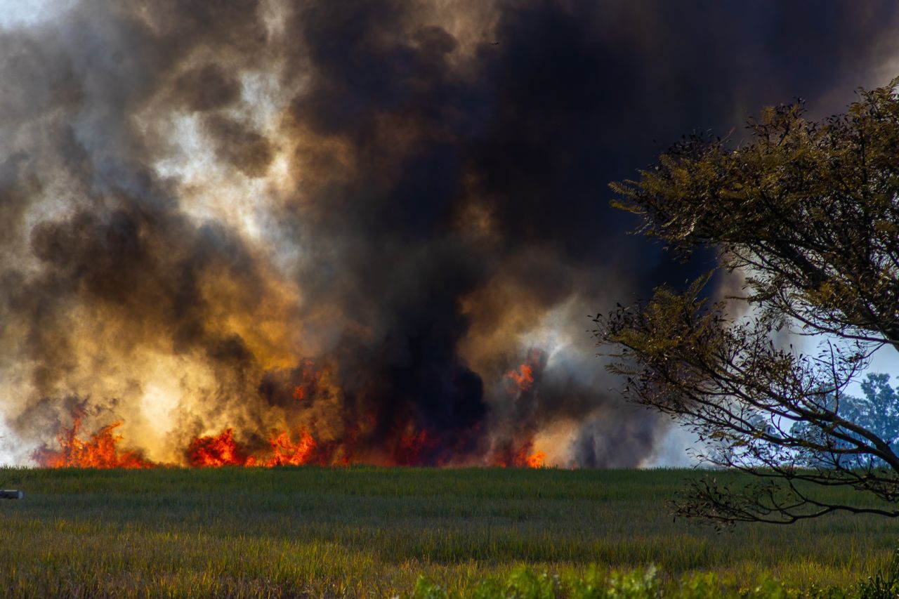Firefighters Call for Better Funding, Equipment and Pay as Major Wildfires Stretch UK Resources