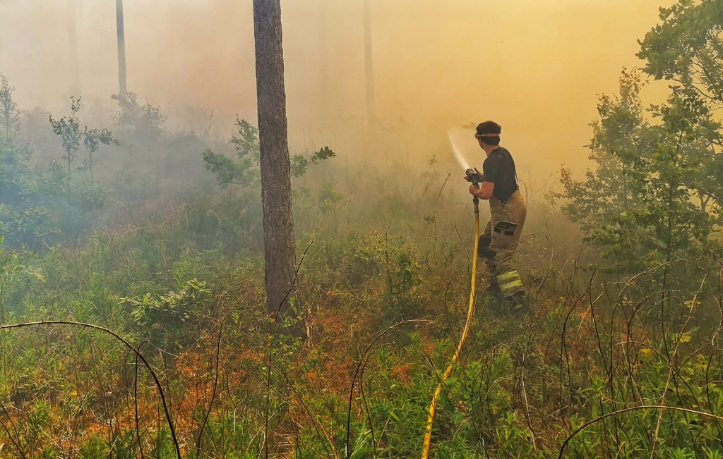 A firefighter uses a high pressure hose reel to knock back a wildfire in dense woodland.