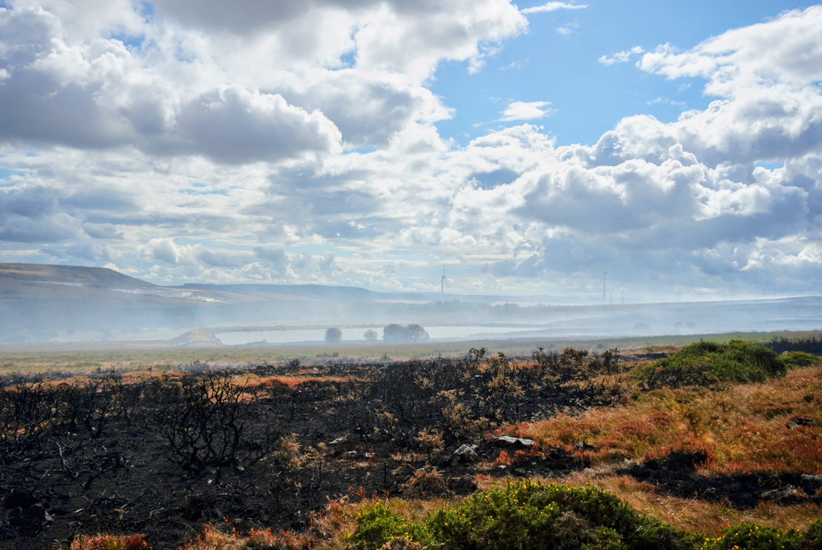 Scorched moorland in the aftermath of a summer 2026 wildfire