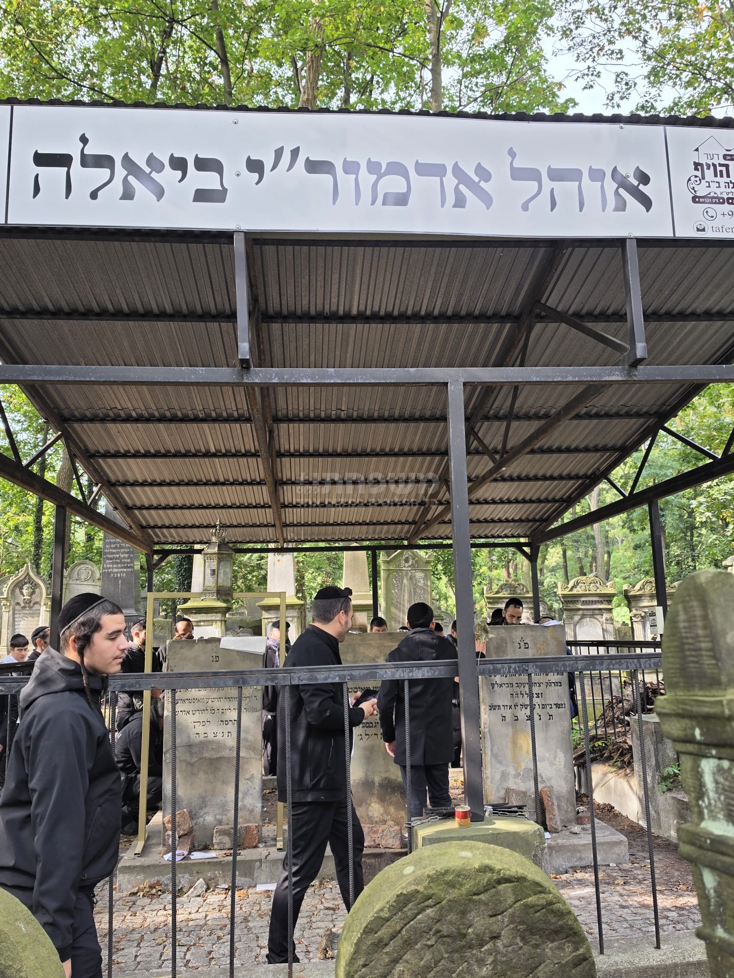 תמונה 5
