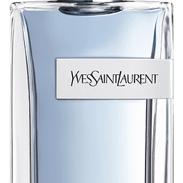 Yves Saint Laurent YSL Y Eau de Toilette 2017 bottle