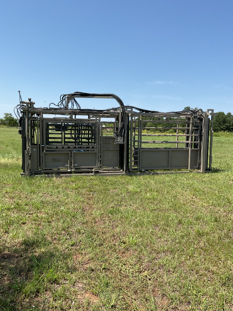 The Herdsman - Side Profile