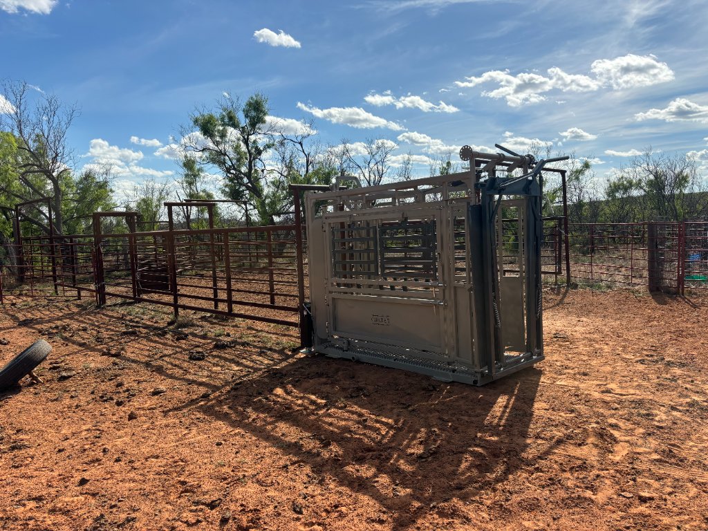 Texas Bull Standard