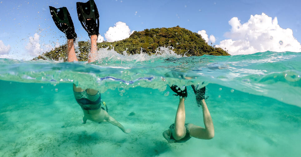 Lalomanu Snorkelling Tour