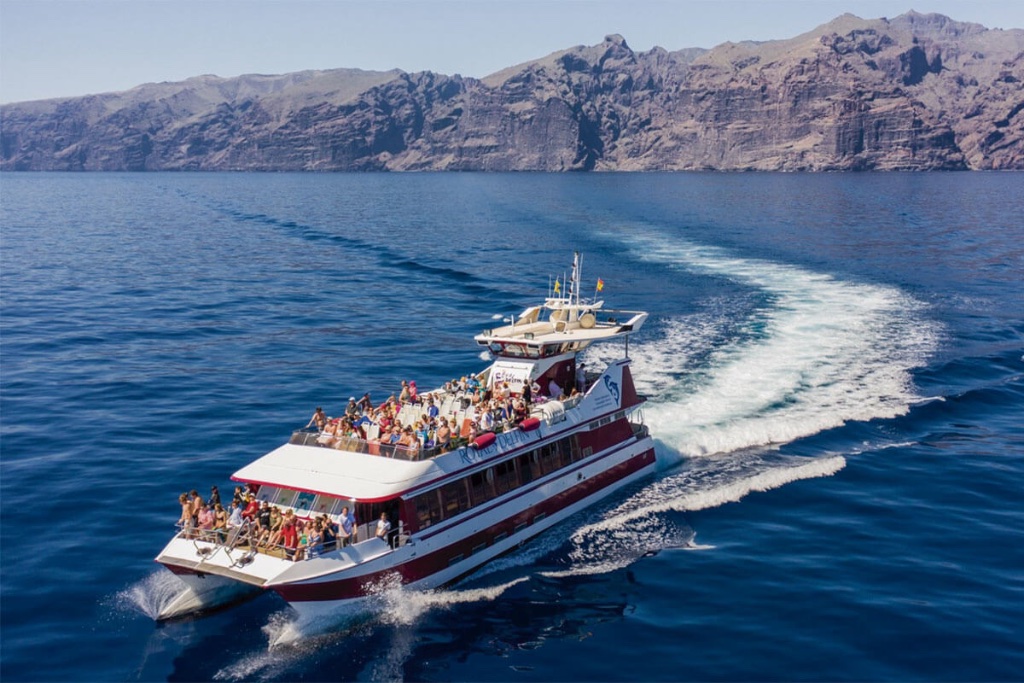 Los Gigantes