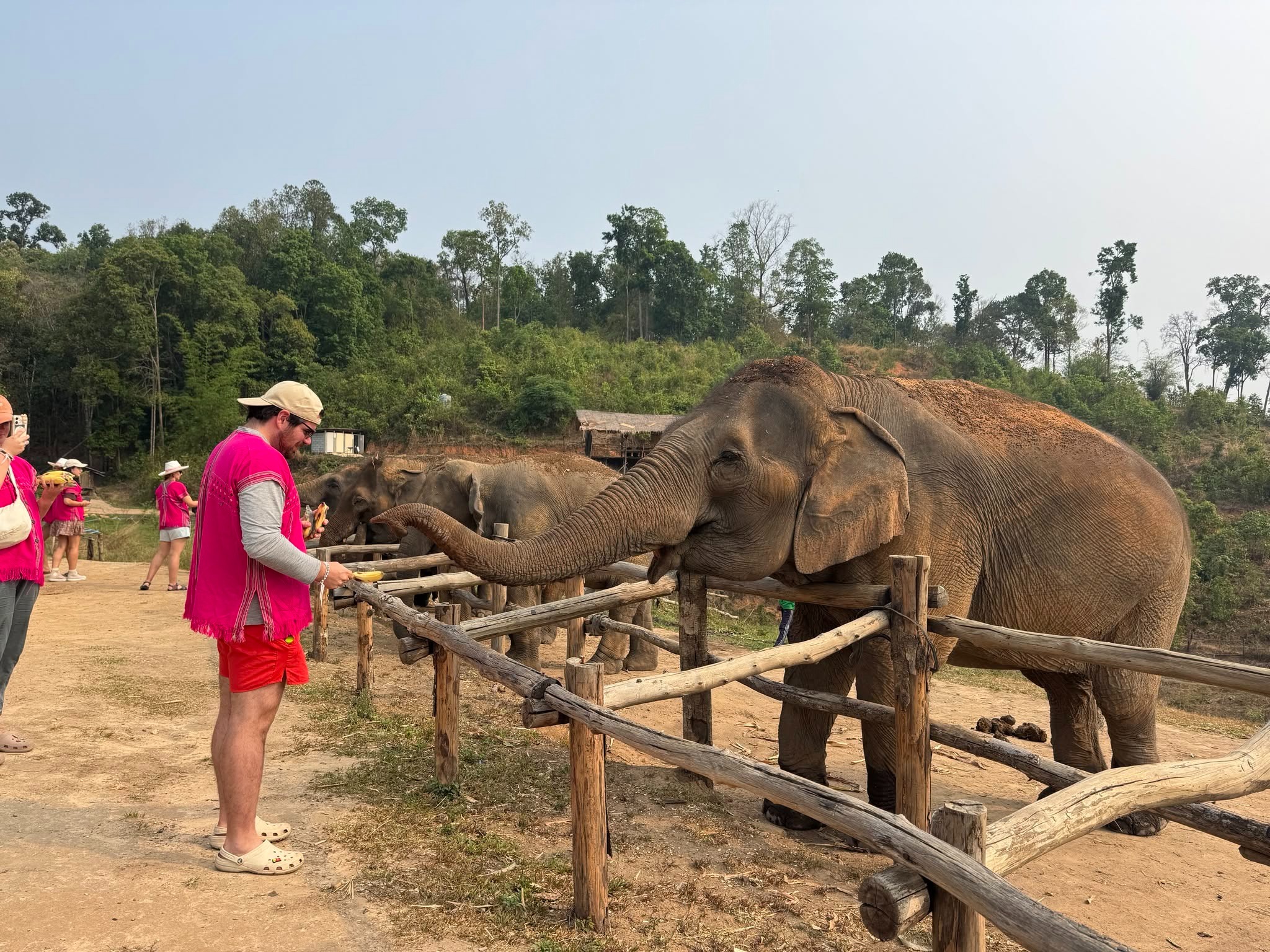Joy Elephant Sanctuary