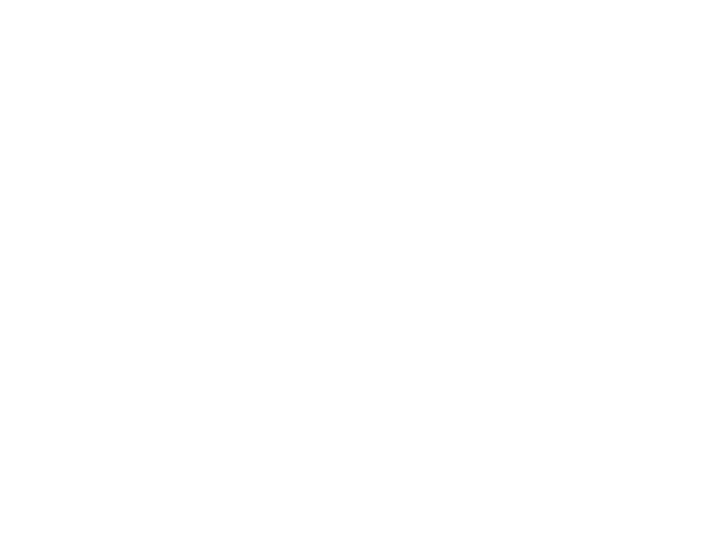 Pack of Raccoons