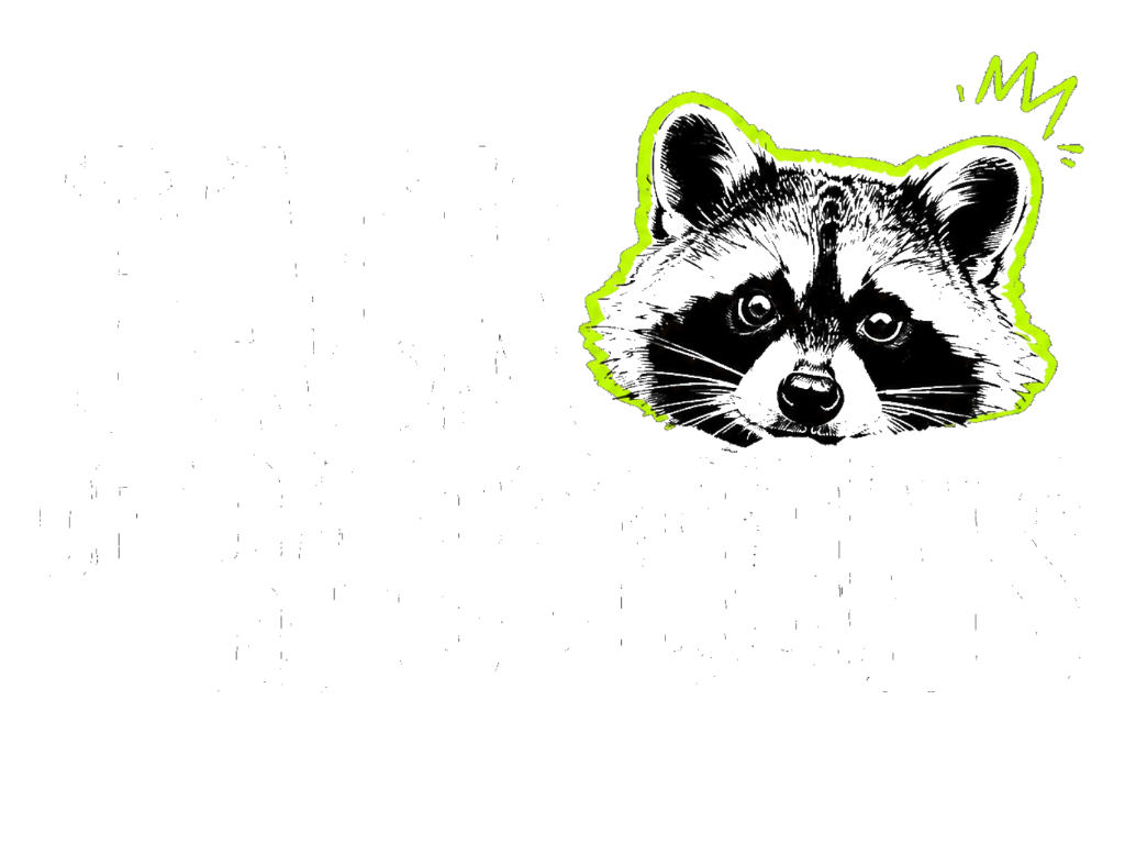 Pack of Raccoons