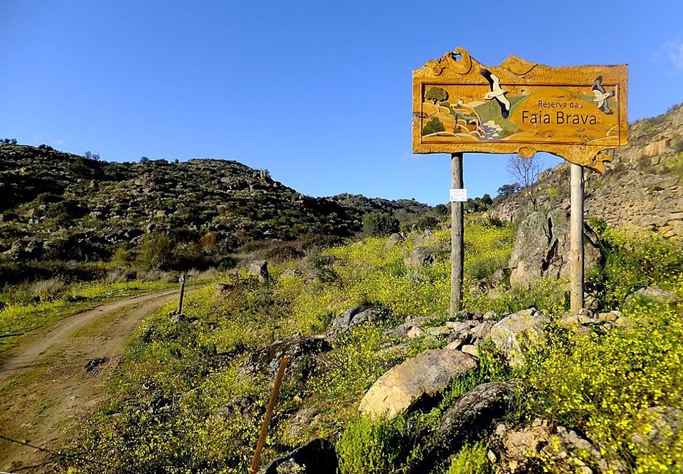 A Boost for Biodiversity in the Faia Brava Reserve