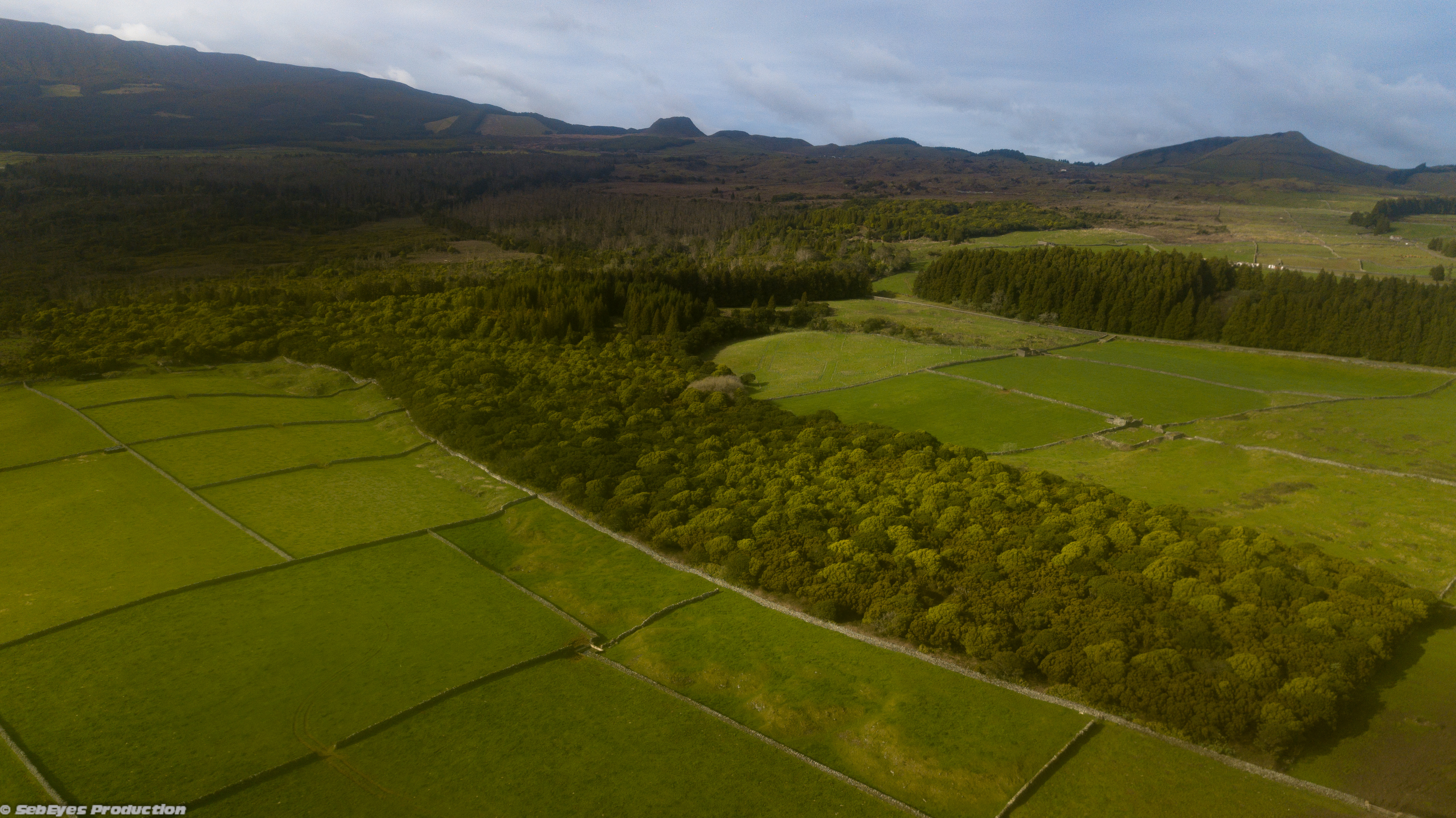 Matela – An Island of Biodiversity