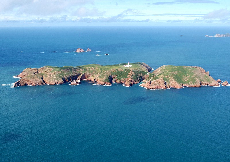 Berlengas – Sanctuary for Seabirds