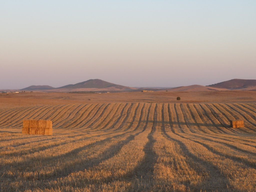 Portuguese landscape at golden hour