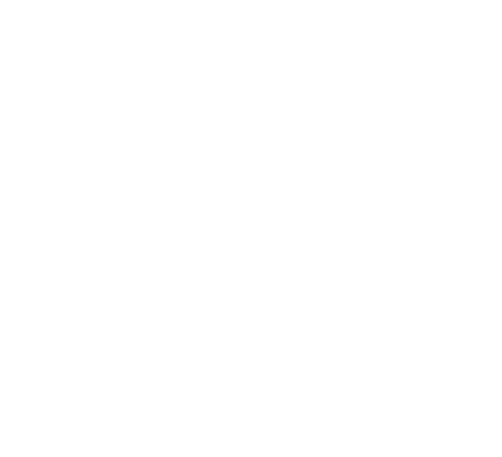 Electra Festival by Blackstore