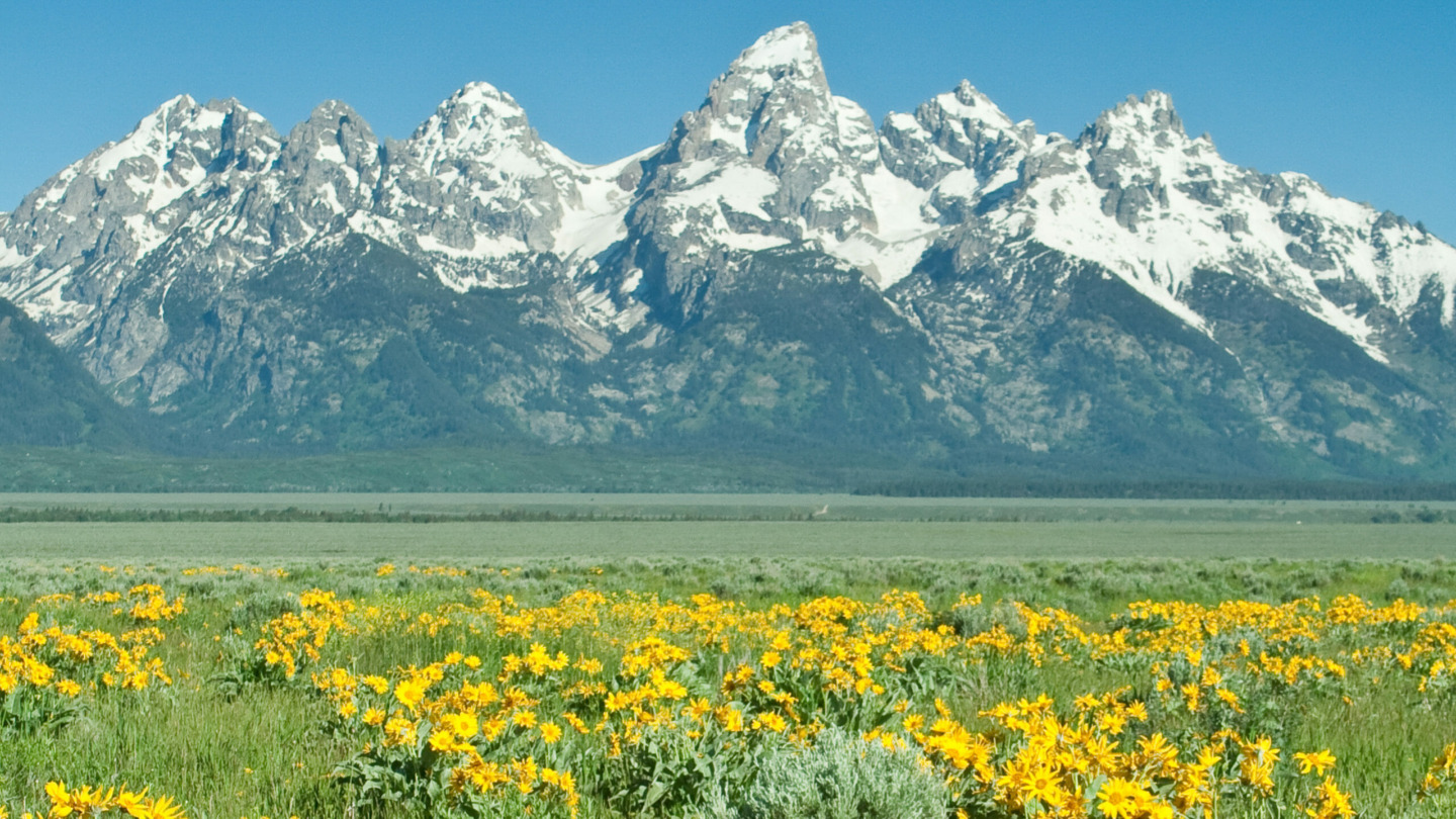 Wendy Colonna: Colorado, Idaho and Wyoming Shows