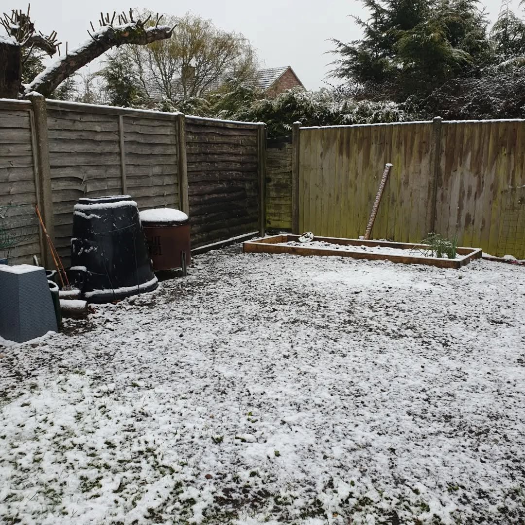 Garden before landscaping work, showing an overgrown space with a compost bin