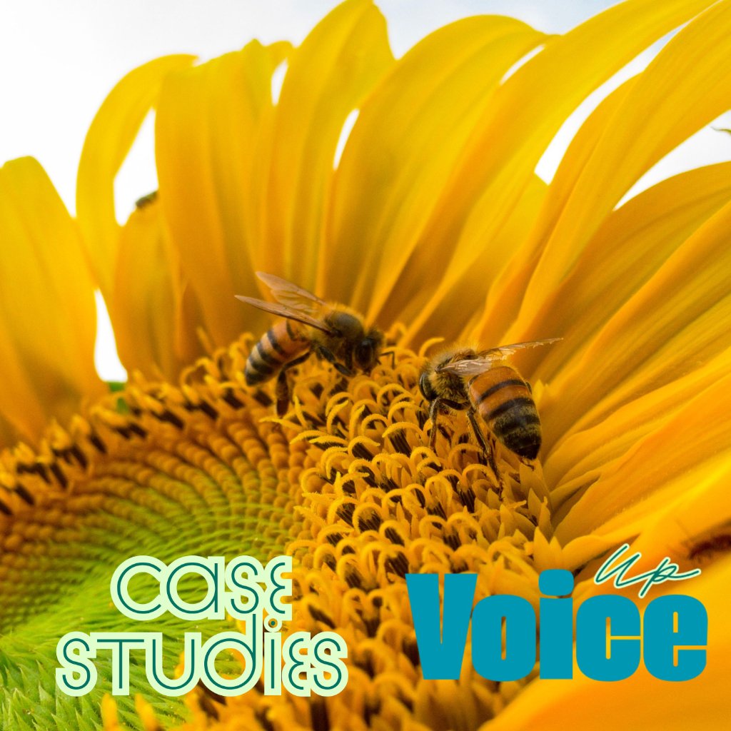 Voice Up Special Case Studies