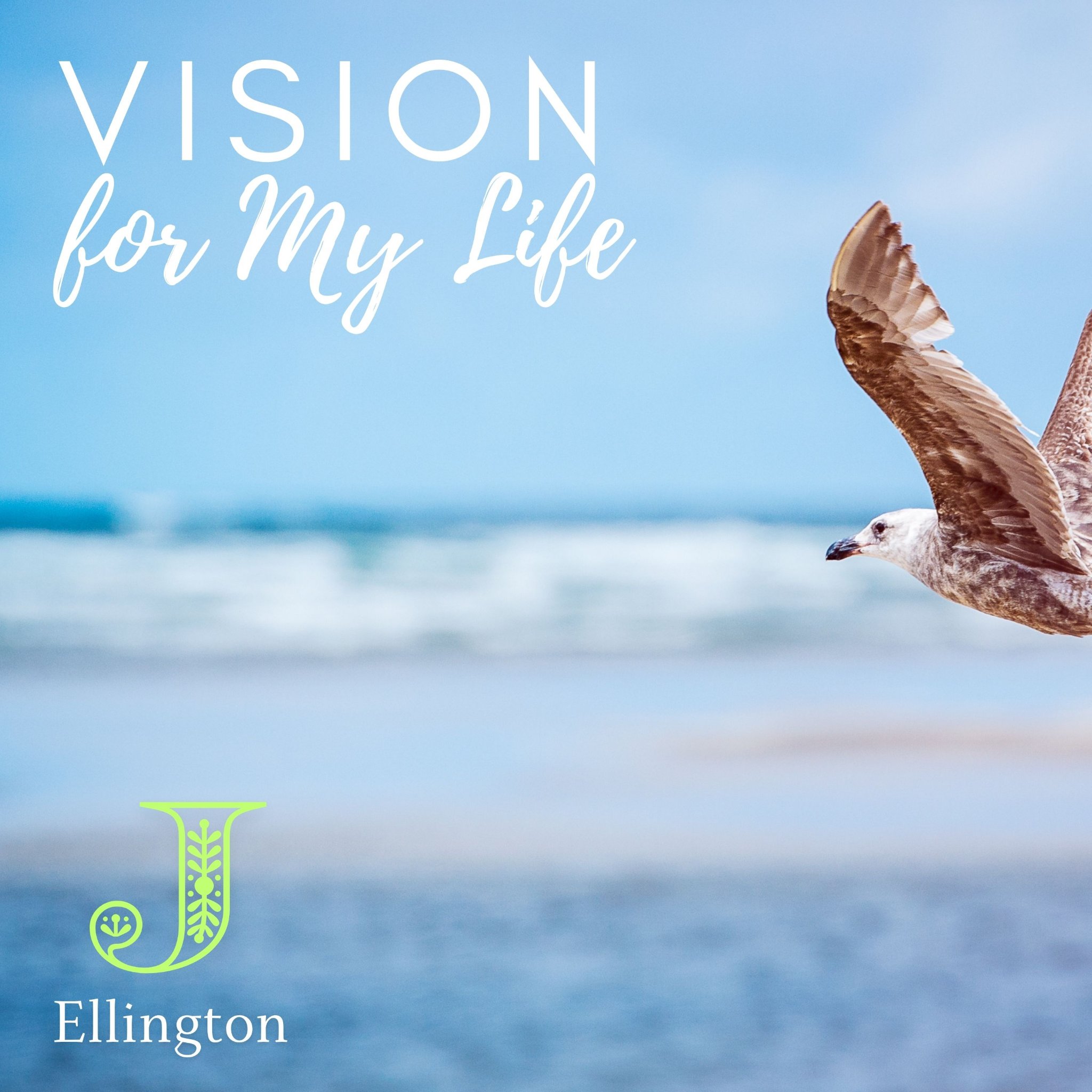 A seagull in flight over a soft-focus beach — the lifeline anchor image