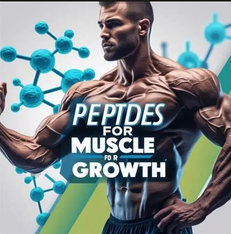 Peptides for Muscle Growth