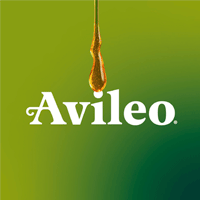 Avileo