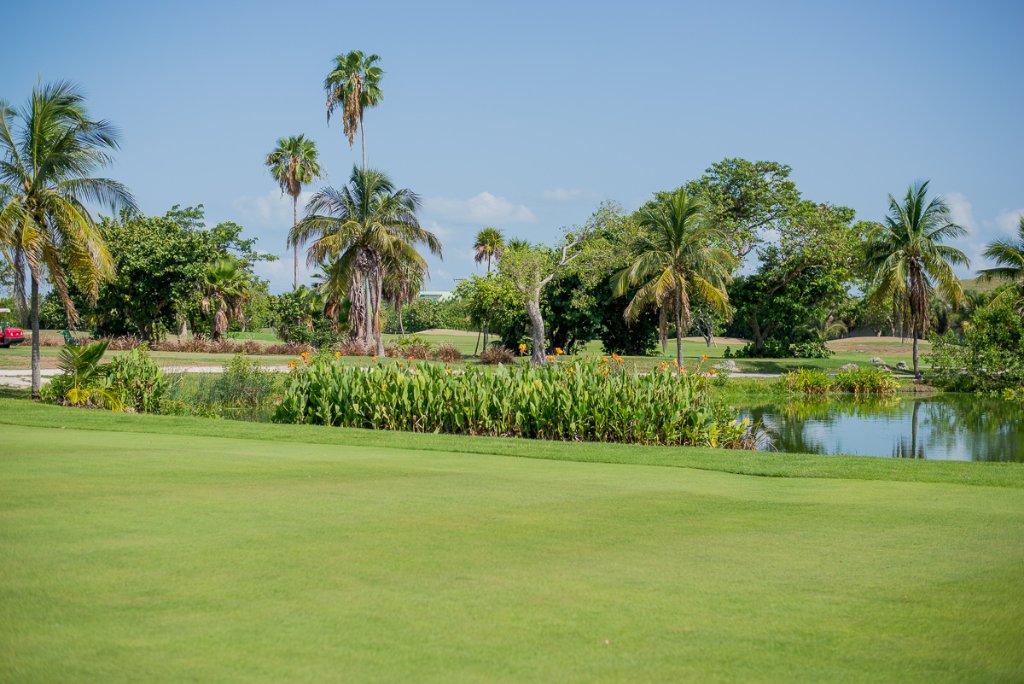 Near Golf Club