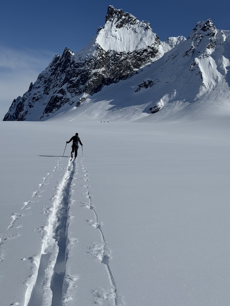 Skiers descending open snowfield above Arctic ocean in Svalbard
