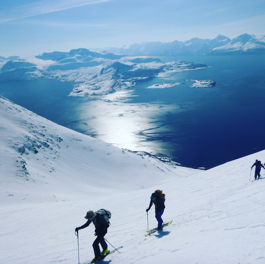 Skiers skinning up Lyngen Alps slope with blue fjord and peaks behind, Norway