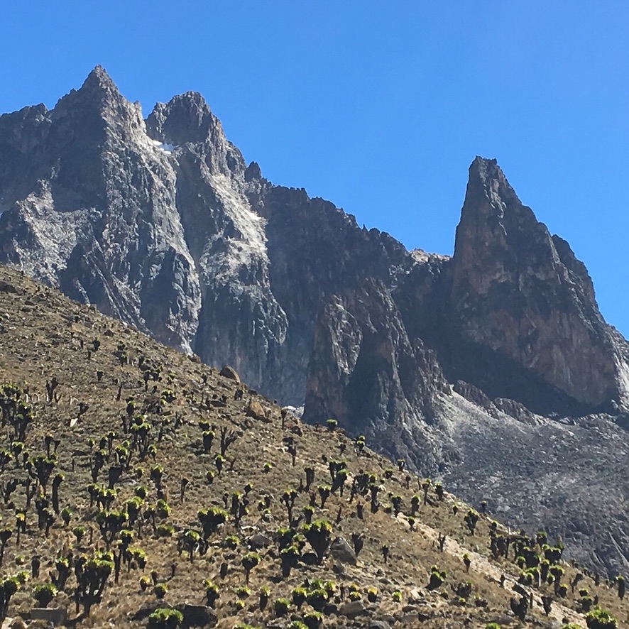 Mount Kenya Alpine Climbing