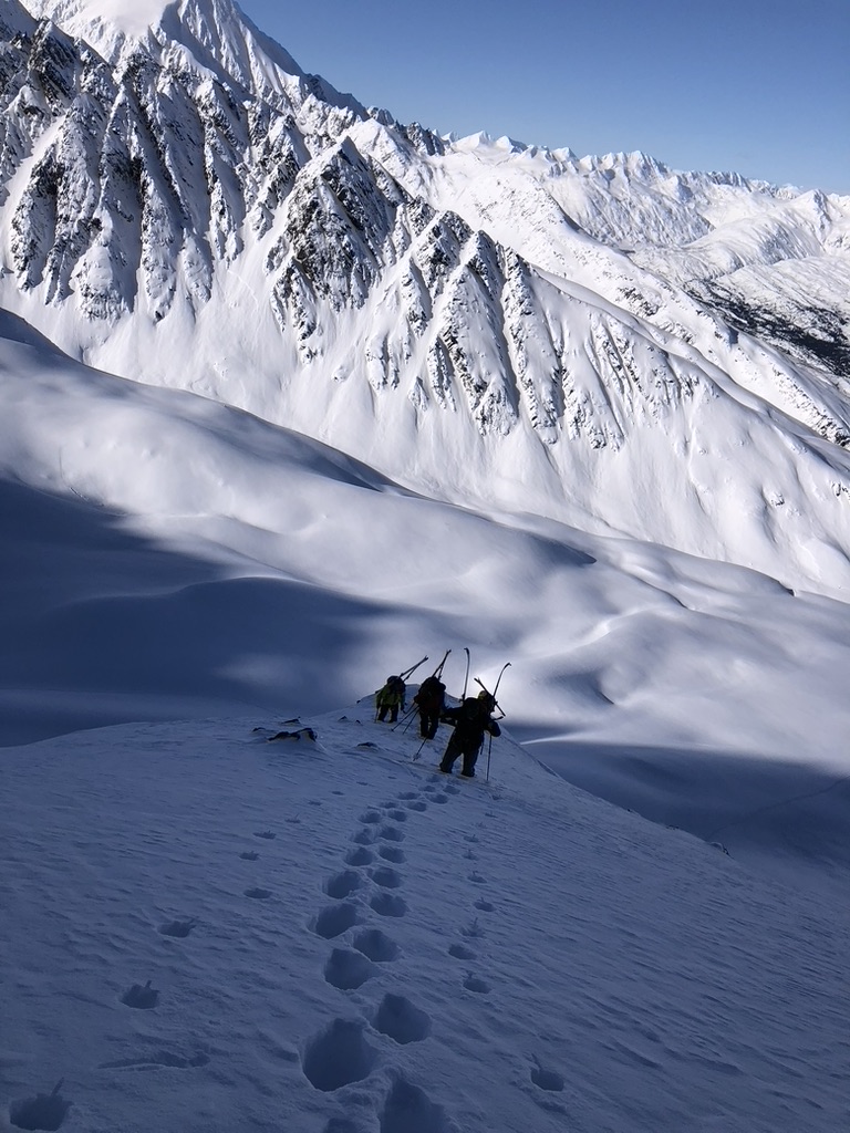 Guides and clients at remote Svalbard ridgeline above frozen Arctic fjord