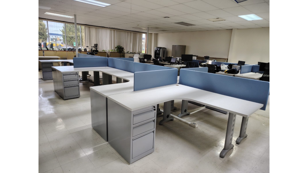 Área operativa de staff — SANOH