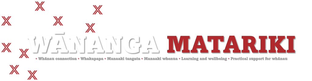 Wānanga Matariki