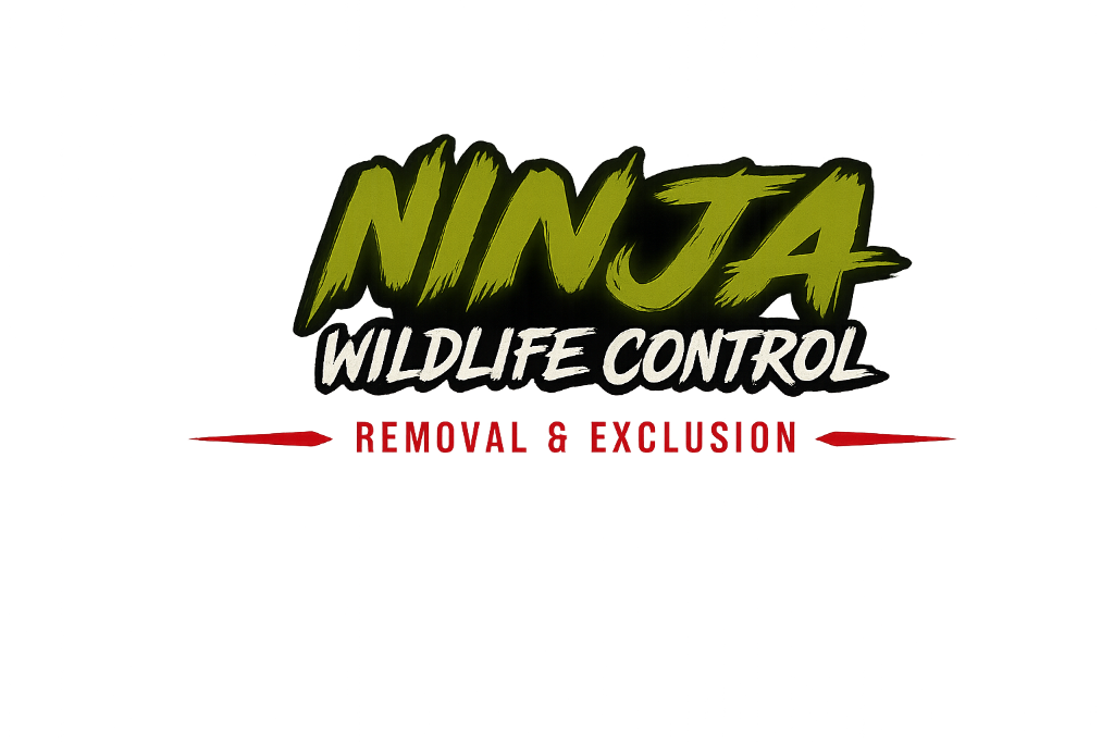 Ninja Wildlife Control