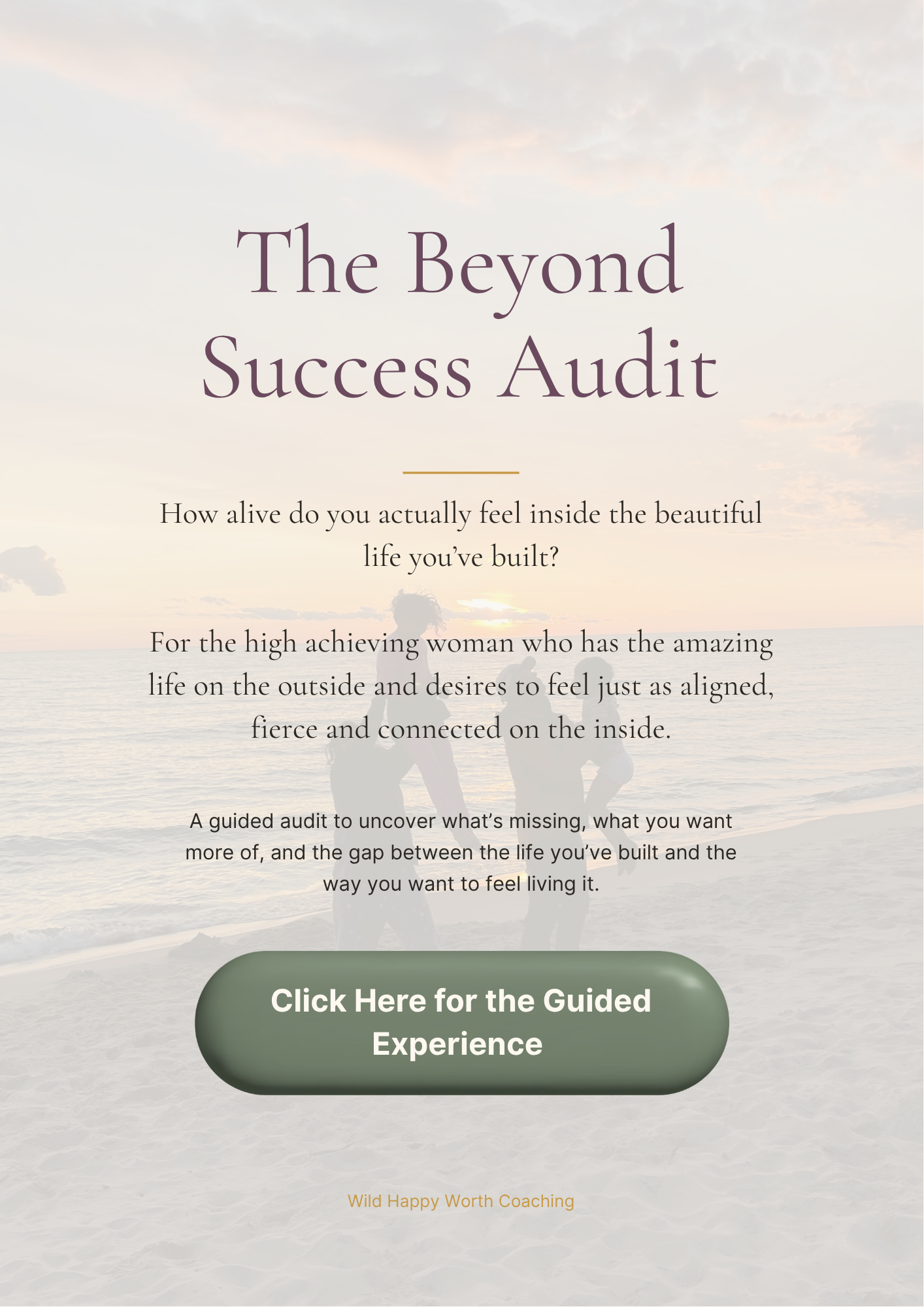 The Beyond Success Audit — cover page