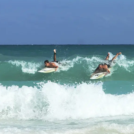 Surfing Lessons