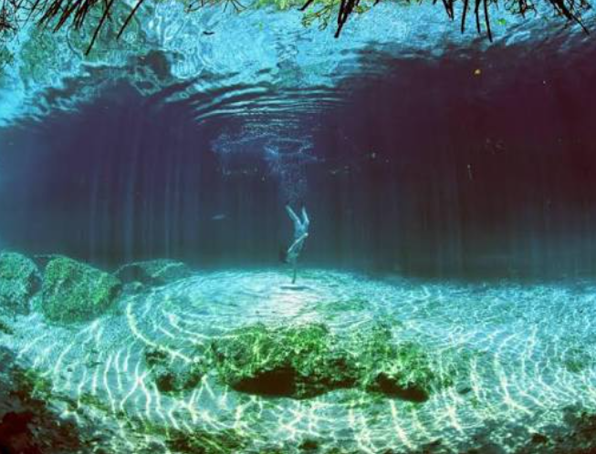 Cenote Snorkeling