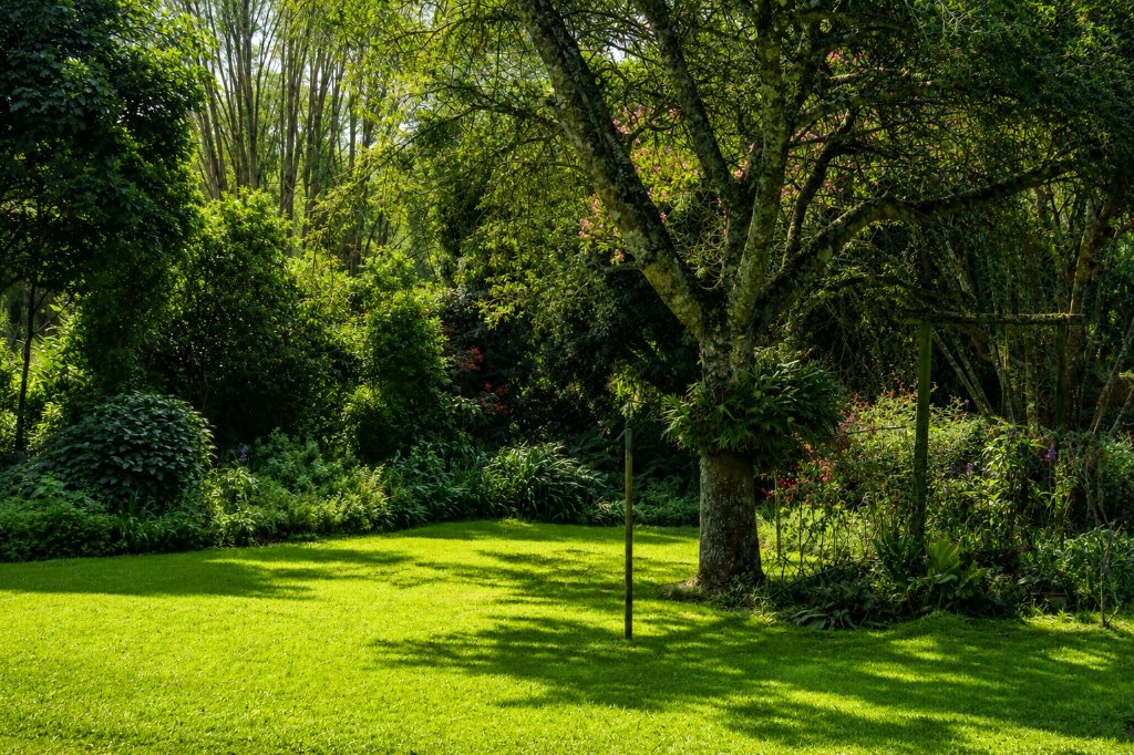 Lush estate gardens