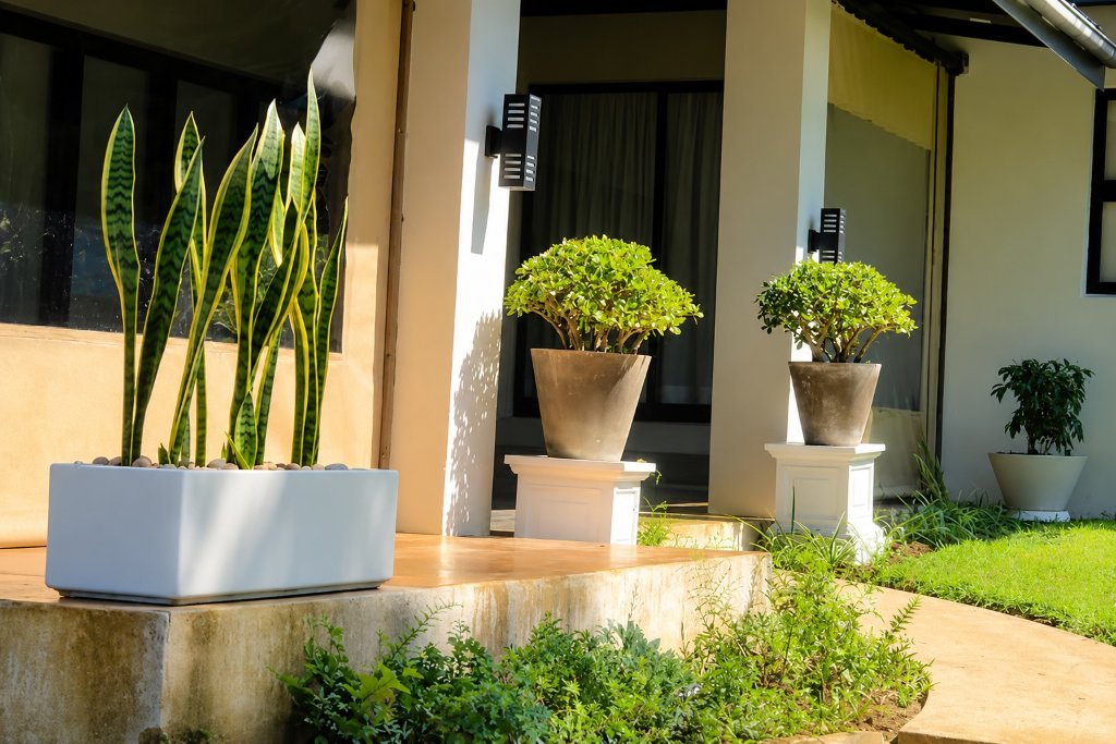 Thatches Lifestyle gardens