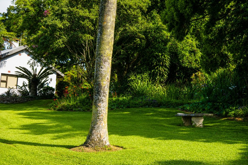 Garden with stone bench