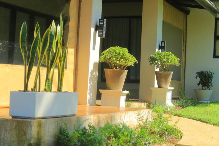 Outdoor entrance with potted plants