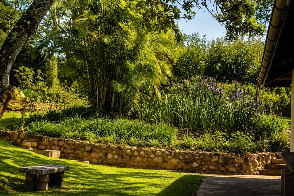 Terraced garden with palms