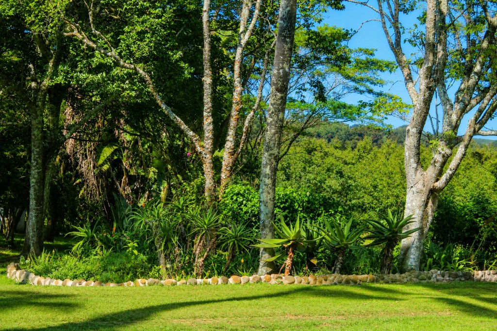Nature and countryside views