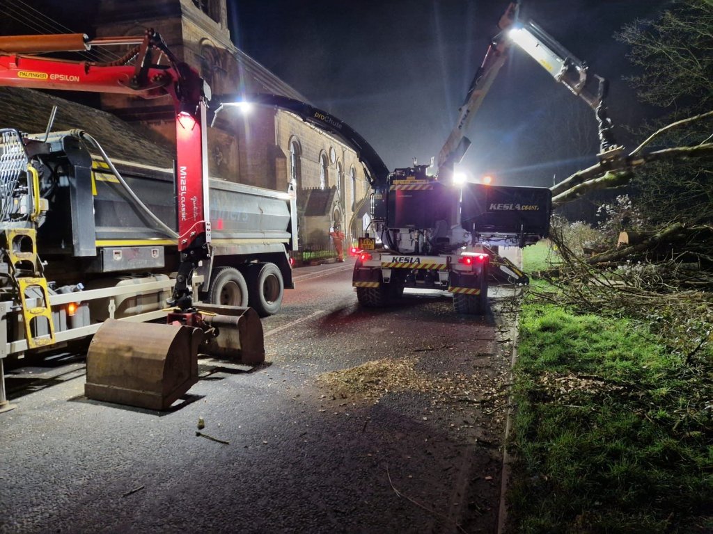 Night Works – London Road | Ash Dieback Removal