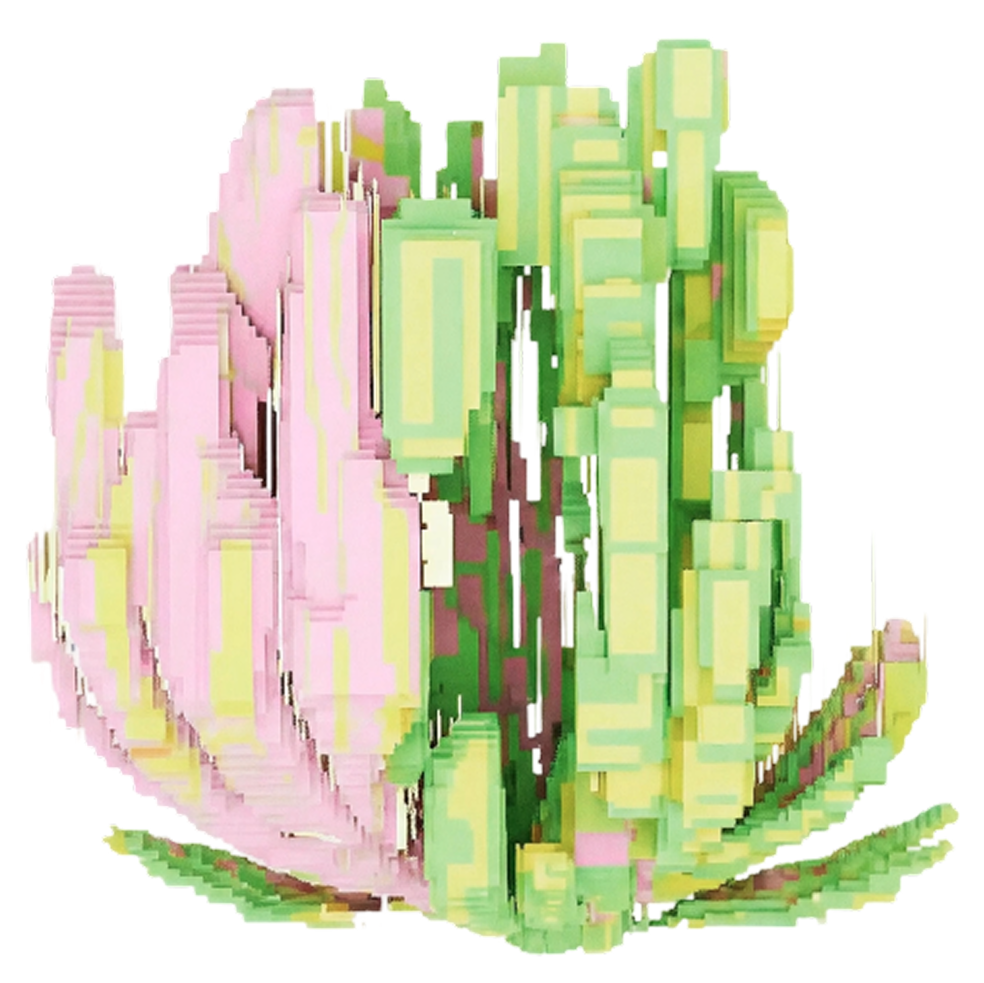 Vexta 4
