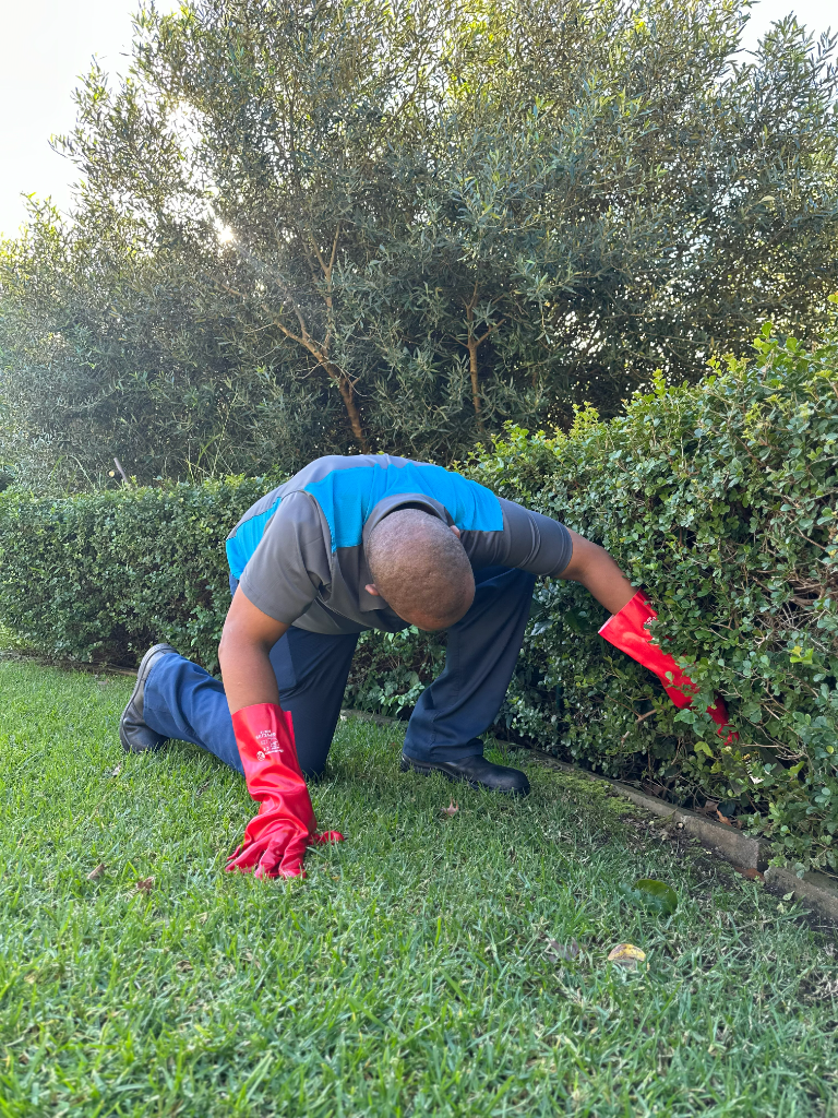 Mikil Pest Control technician inspecting a garden in Cape Town