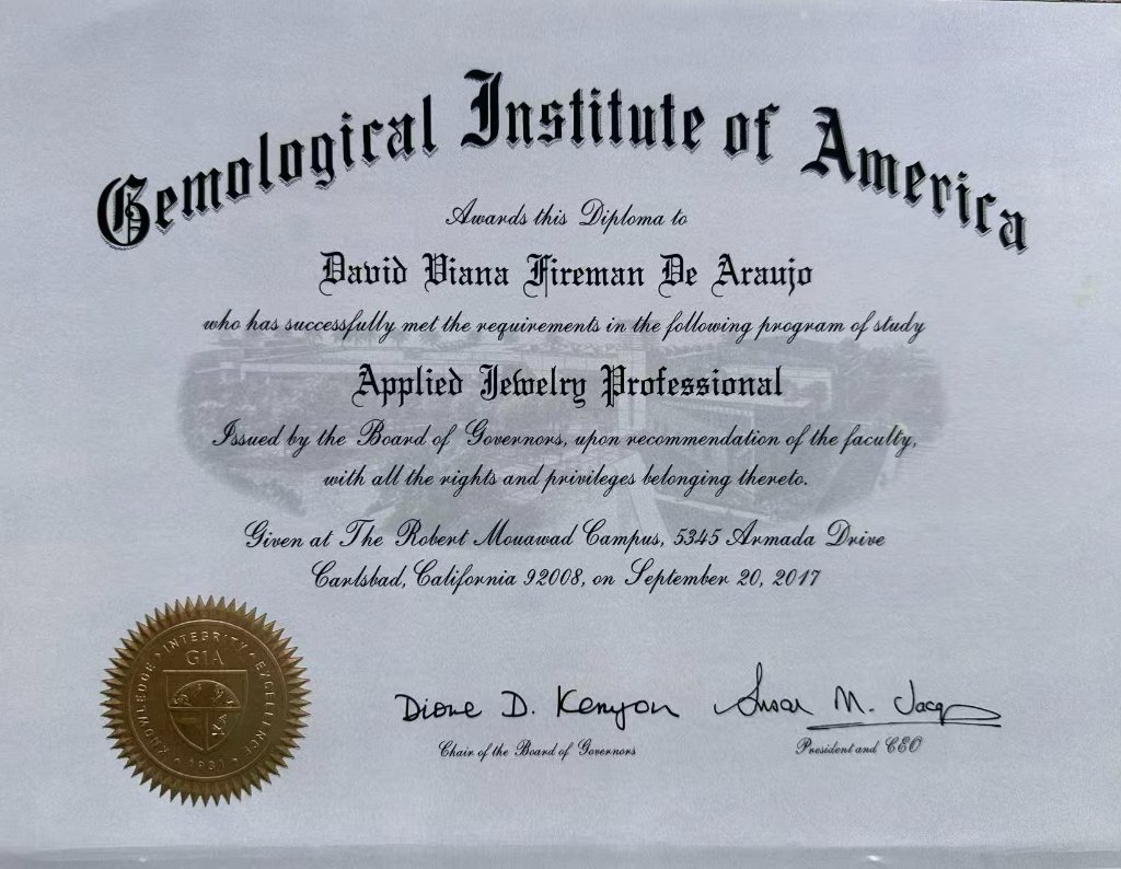 Applied Jewelry Professional