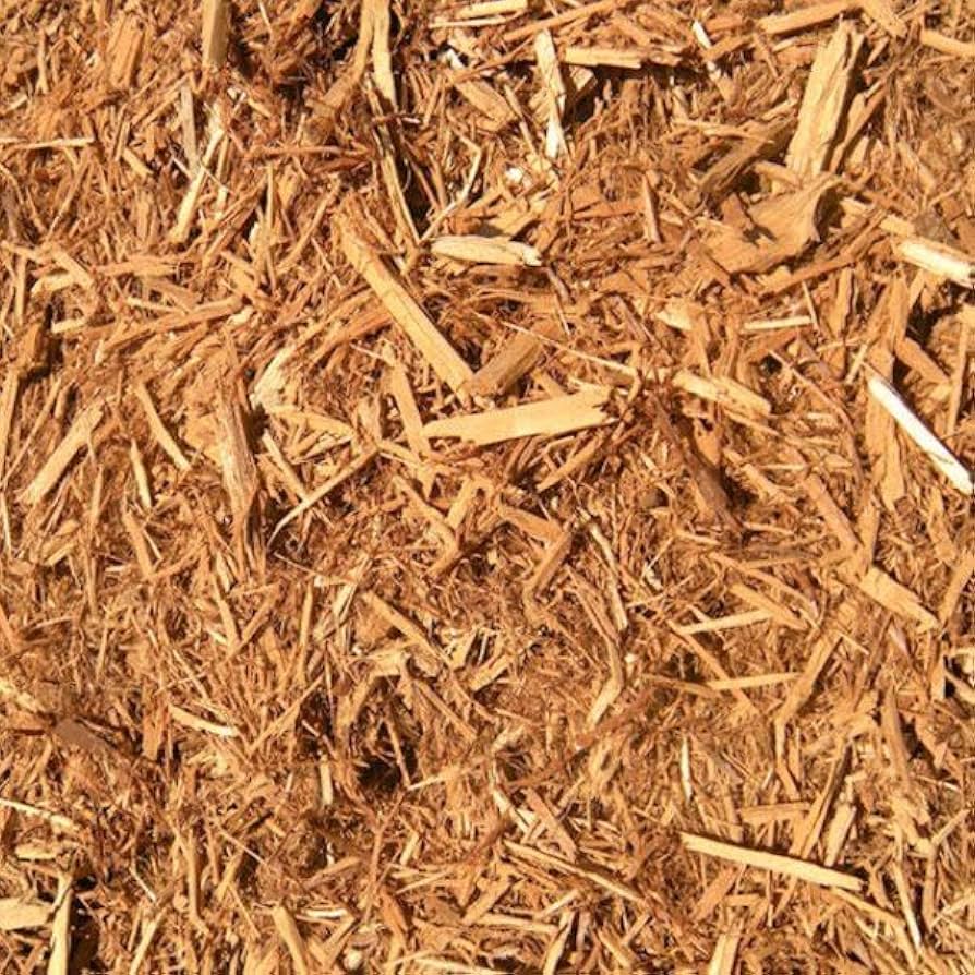 Premium Cypress