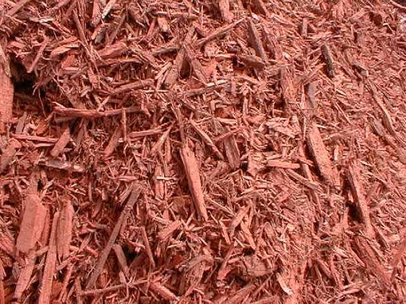 Red Oak