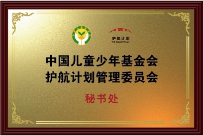 中国儿童少年基金会护航计划